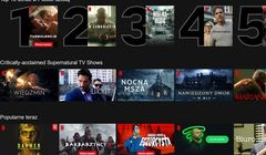 Netflix jest zbyt drogi? „Lokalne produkcje muszą zwrócić się w Polsce”