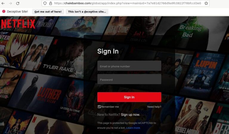 Fałszywa strona podszywająca się pod Netflix