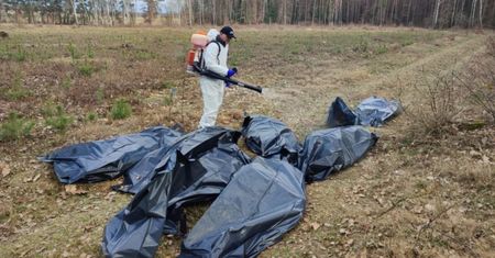 Makabryczne odkrycie w lesie w Nidzicy. Są ostateczne wyniki badań