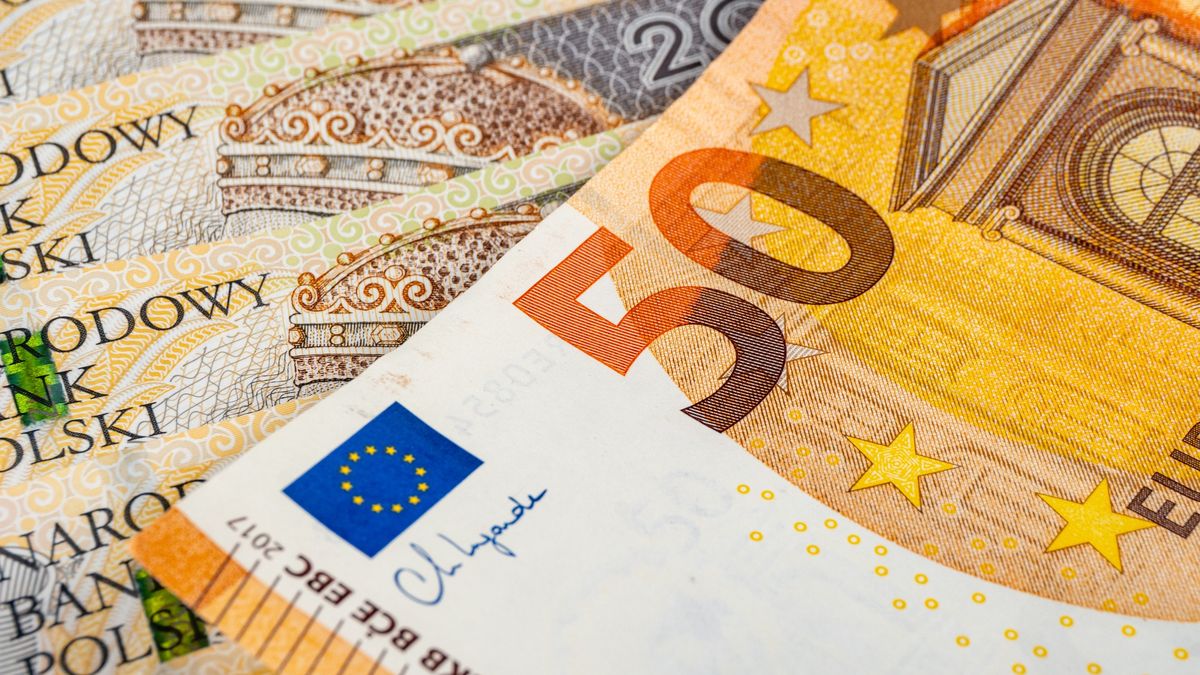 MF z jasną deklaracją ws. przyjęcia euro przez Polskę