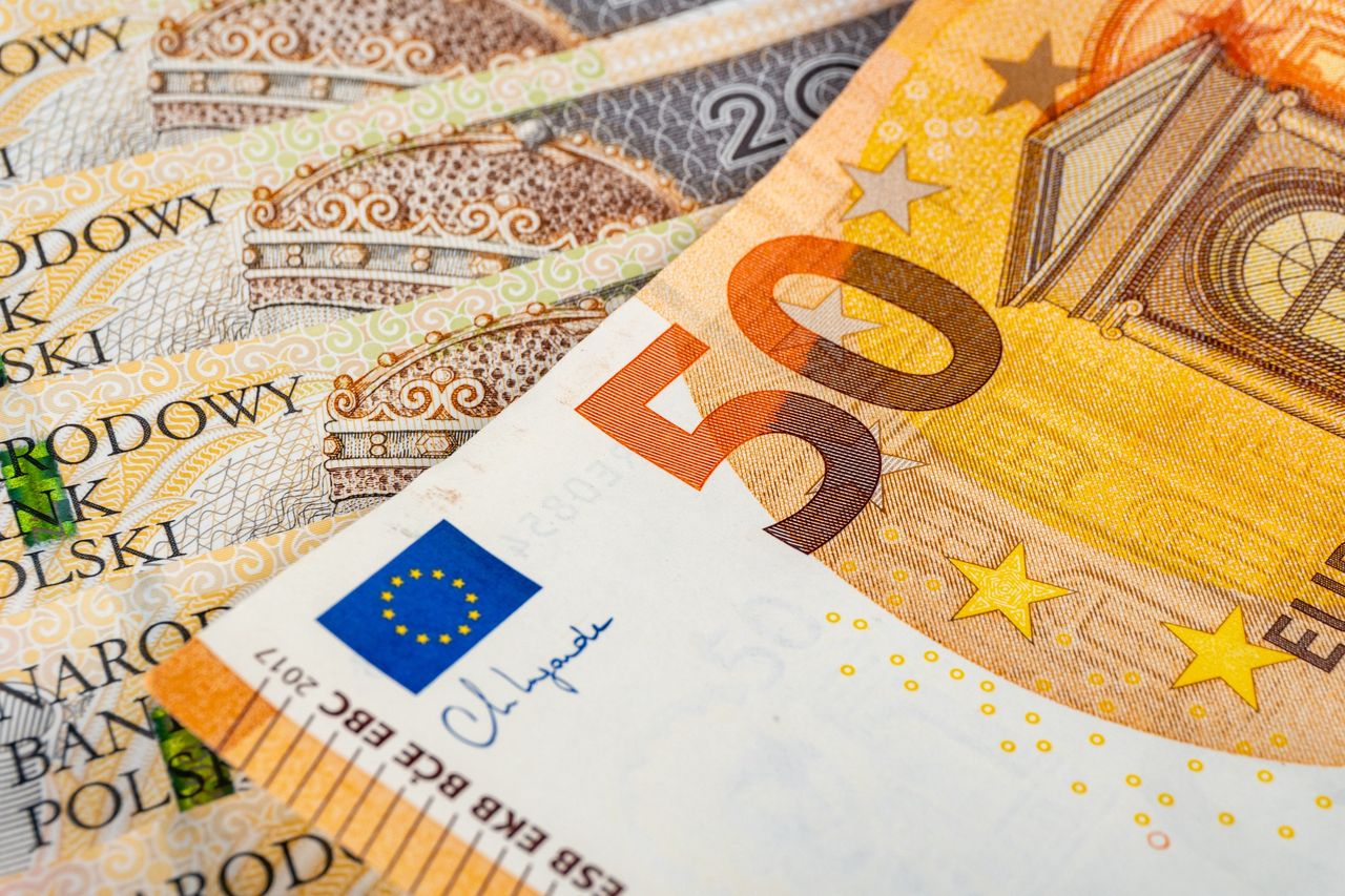 "Źródło zaburzeń w gospodarce". MF o możliwych skutkach przyjęcia euro w Polsce