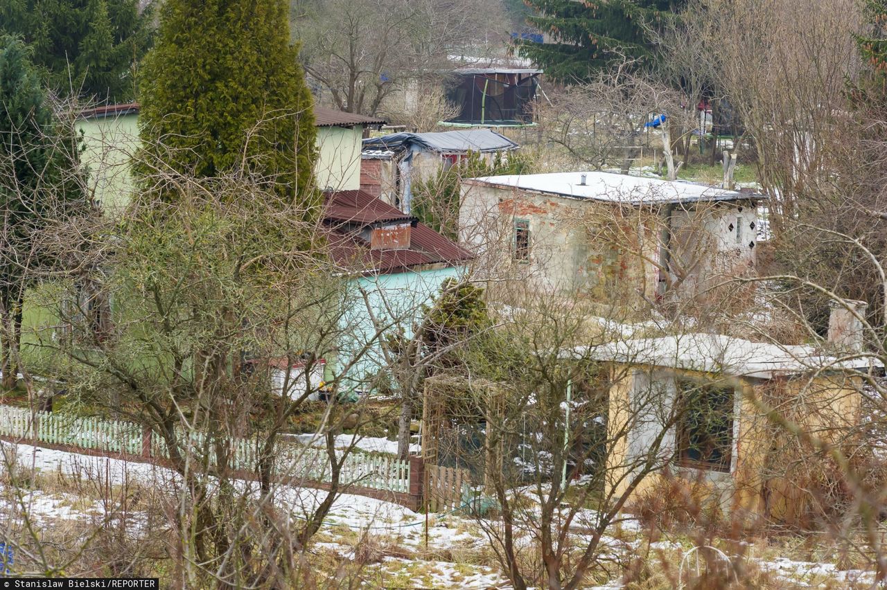 5 tys. zł kary dla działkowców. Urzędnicy mierzą odległości od płotu