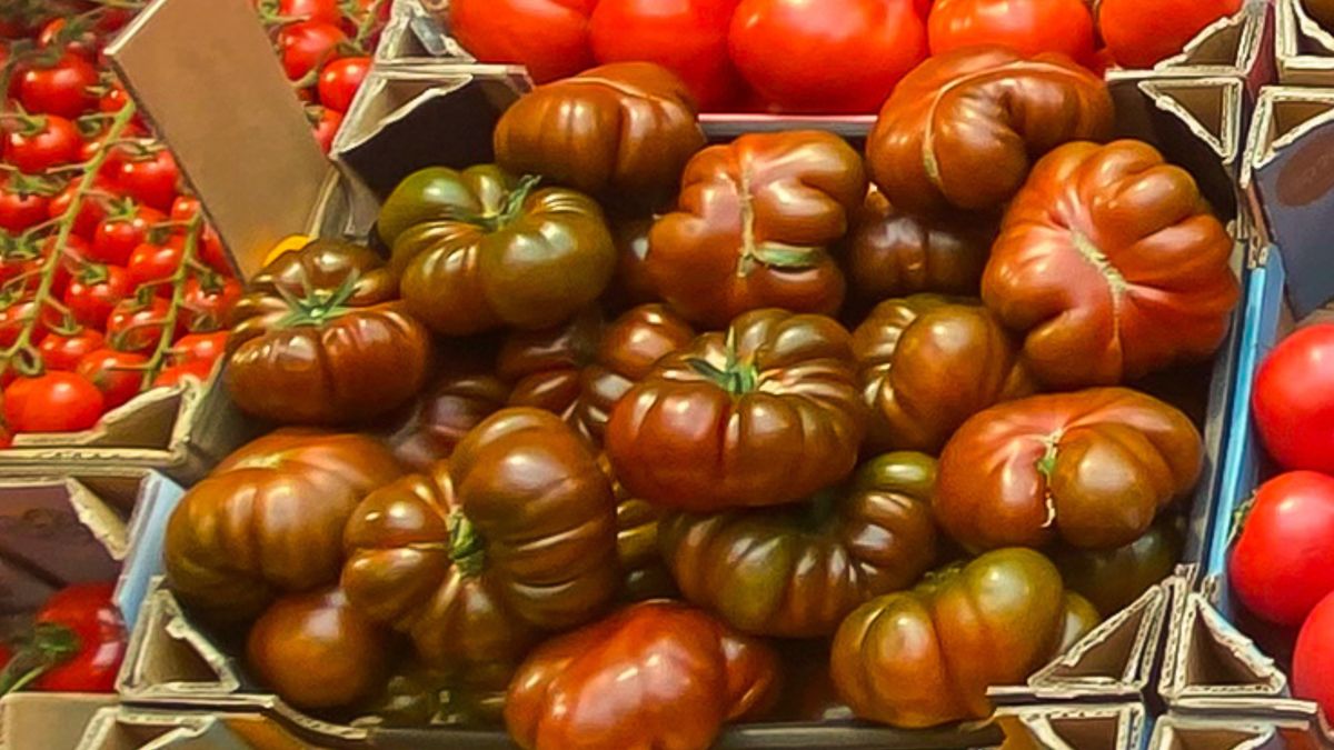 Czekoladowe pomidory robią furorę