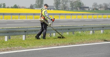 Utrzymanie traw kosztuje fortunę. Łąki antysmogowe są tańsze i czyszczą powietrze