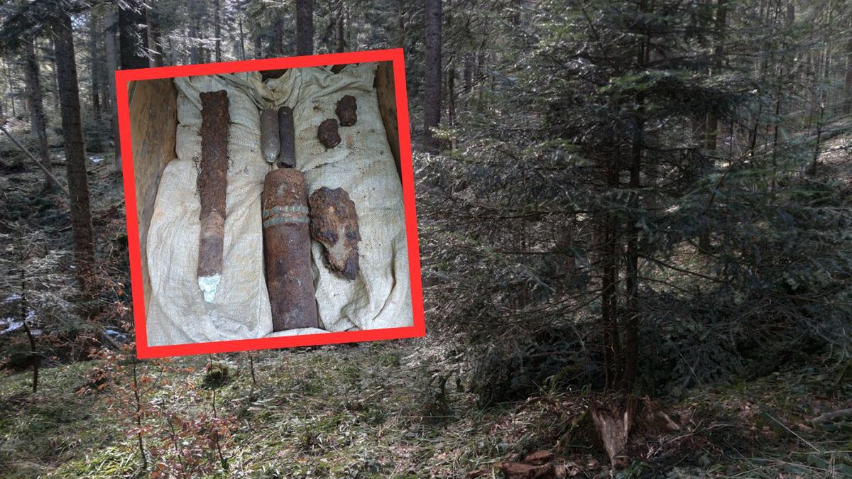 Niewybuchy w lesie pod Czerniejewem. Leśnicy apelują o ostrożnoś