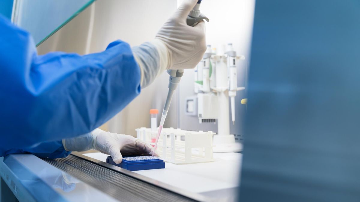 Przecinkowce w polskich wodach. Co wiemy o wibriozie?