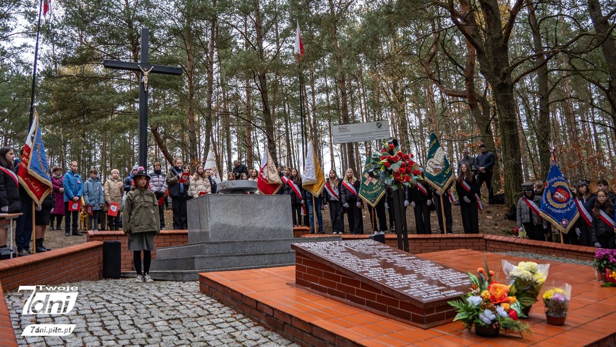 Uroczystości na Wzgórzach Morzewskich. 