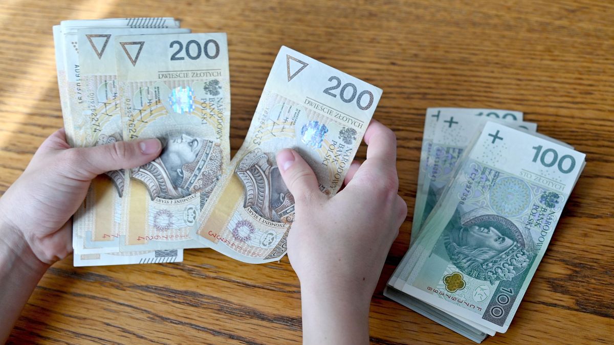 pieni�dze PLN
Szczecin, 09.09.2021. Banknoty, bilety Narodowego Banku Polskiego w nomina�ach 100 i 200 z�otowych trzymane w d�oniach, 9 bm. (ran) PAP/Marcin Bielecki
Marcin Bielecki
100 z�otych, 200 z�, 200 z�otych, banknoty, got�wka, kasa, pieni�dze, dlo�, d�onie, banknot�w, liczenie pieniedzy, z�ot�wki