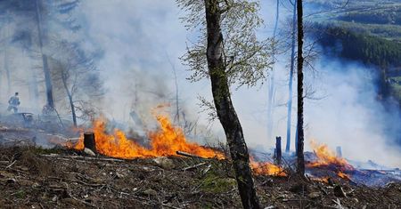 Potężny pożar w Górach Sowich. Strażacy mówią, co tam się dzieje
