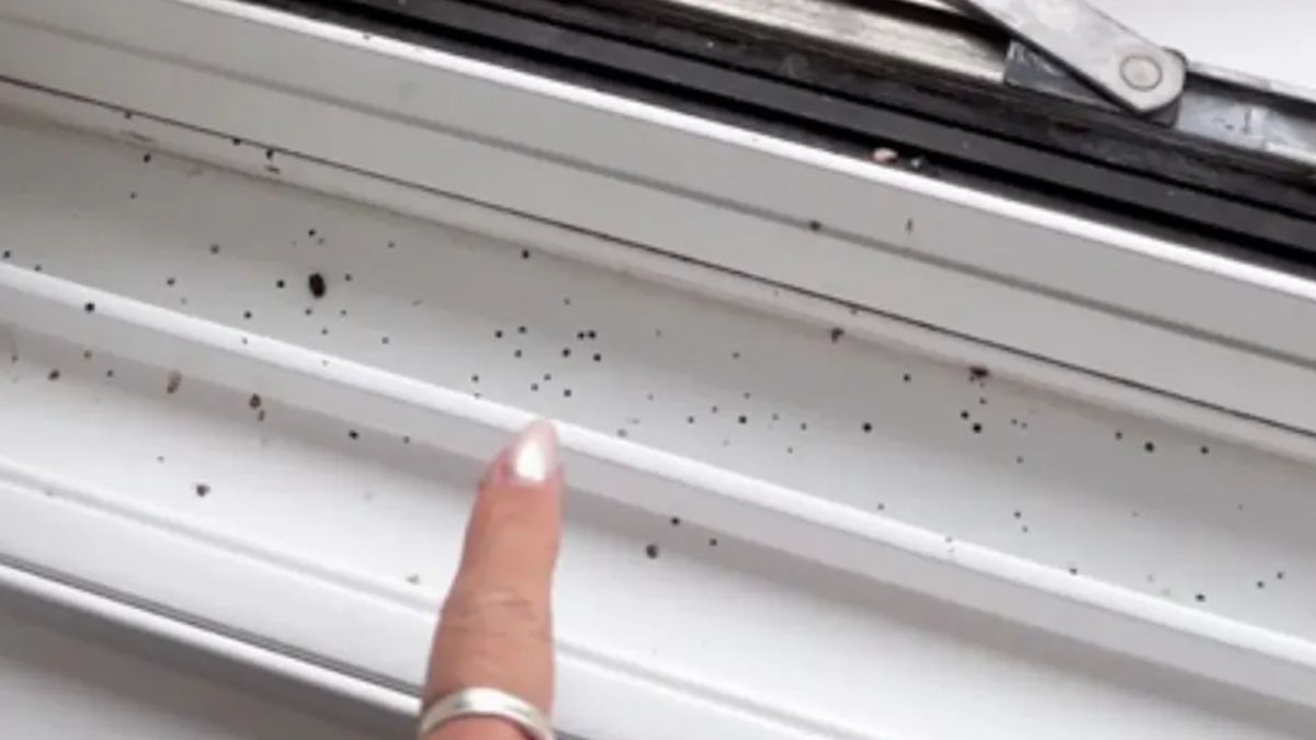 Influencerka radzi, jak usunąć czarne kropki z okien