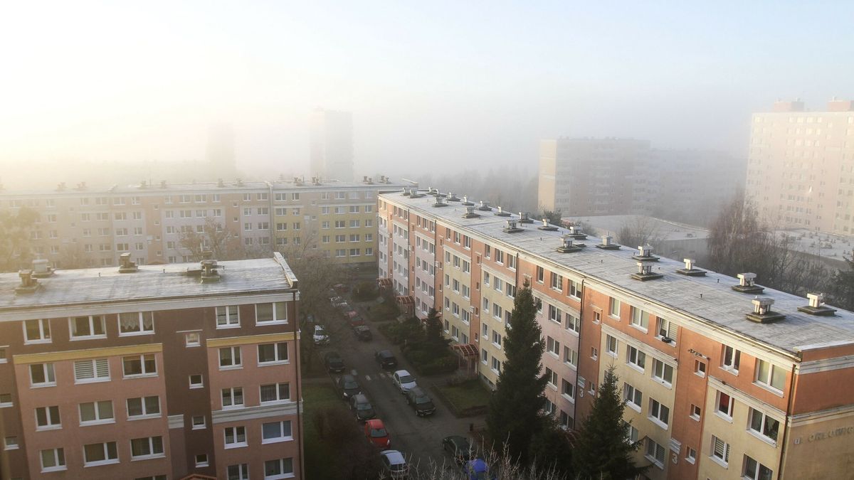 Przymrozki (archiwalne zdjęcie ilustracyjne)