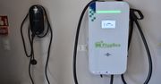 Nie ma dotacji, nie ma sprzedaży elektryków. W tym roku rynek odnotuje gorsze wyniki