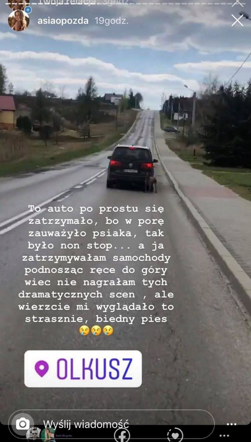 Joanna Opozda świadkiem porzucenia psa na ruchliwej ulicy