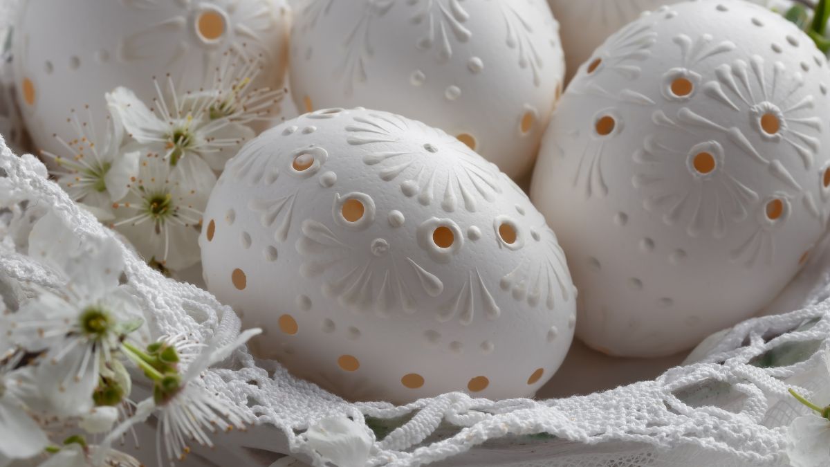 Wydmuszki - Pyszności