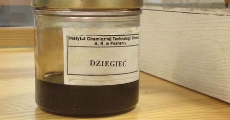 Nasze babcie leczyły nią choroby skóry. Dziś wielu nie zna nawet jej nazwy