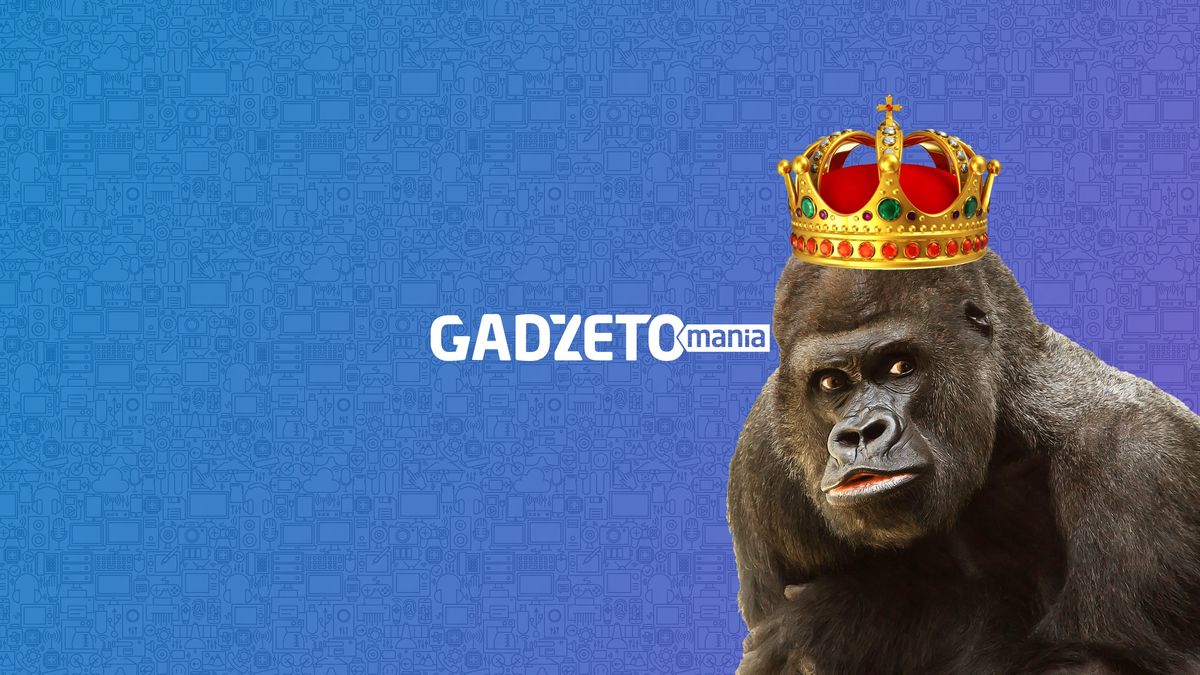 Rekordowa liczba czytelników i fanów Gadżetomanii. Dziękujemy! 1