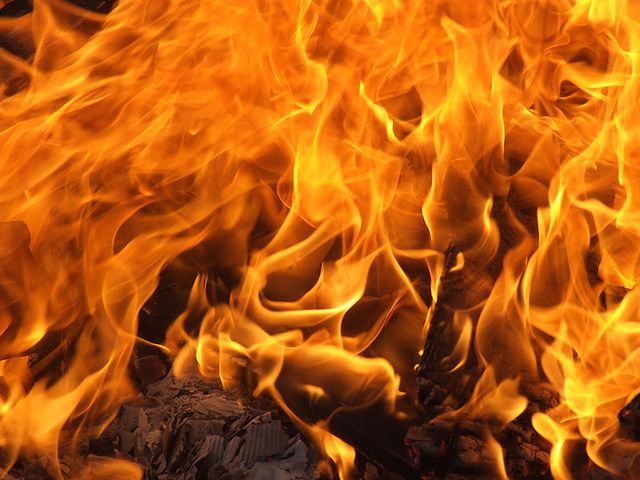 Jeden z najstarszych organizmów na Ziemi spłonął w pożarze