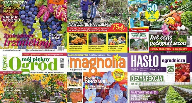 „Działkowiec” na czele sprzedaży miesięczników o ogrodnictwie