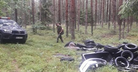 Pokazali zdjęcie z lasu. Załamują ręce. "Niewiele już może nas zaskoczyć"