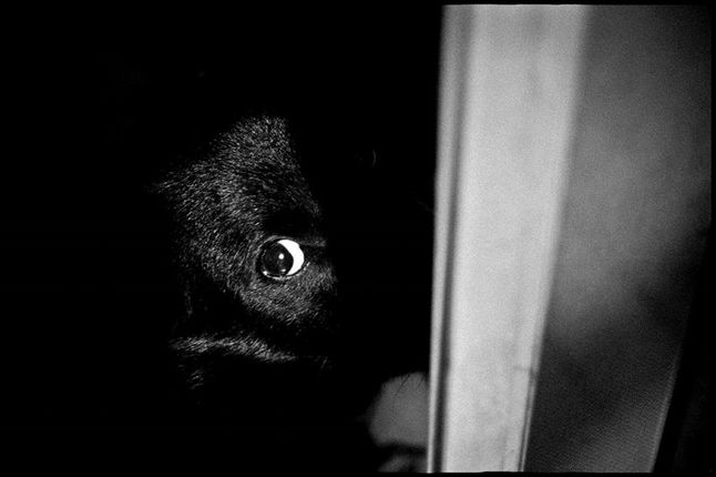 ©Hajime Kimura