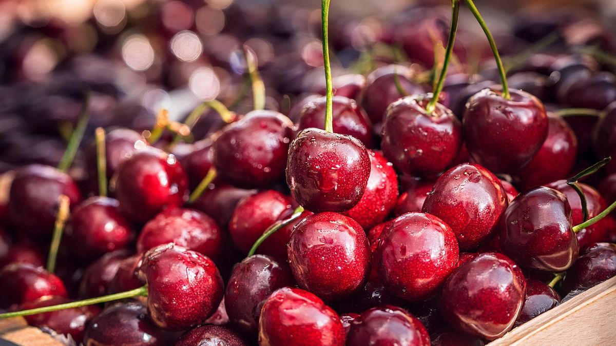 Niekiedy w czereśniach mogą kryć się robaki