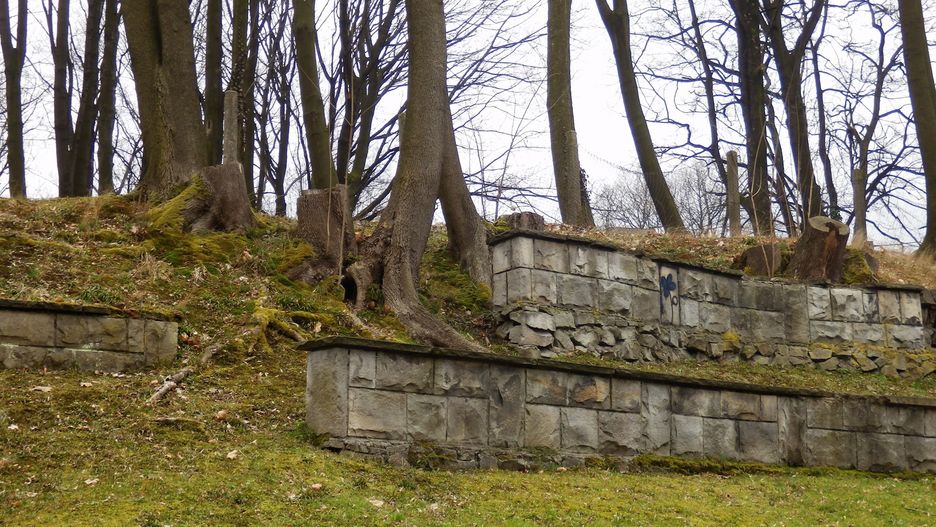Bystrzyca Kłodzka. Awantura o skarpę. Wycinka drzew zbulwersowała mieszkańców