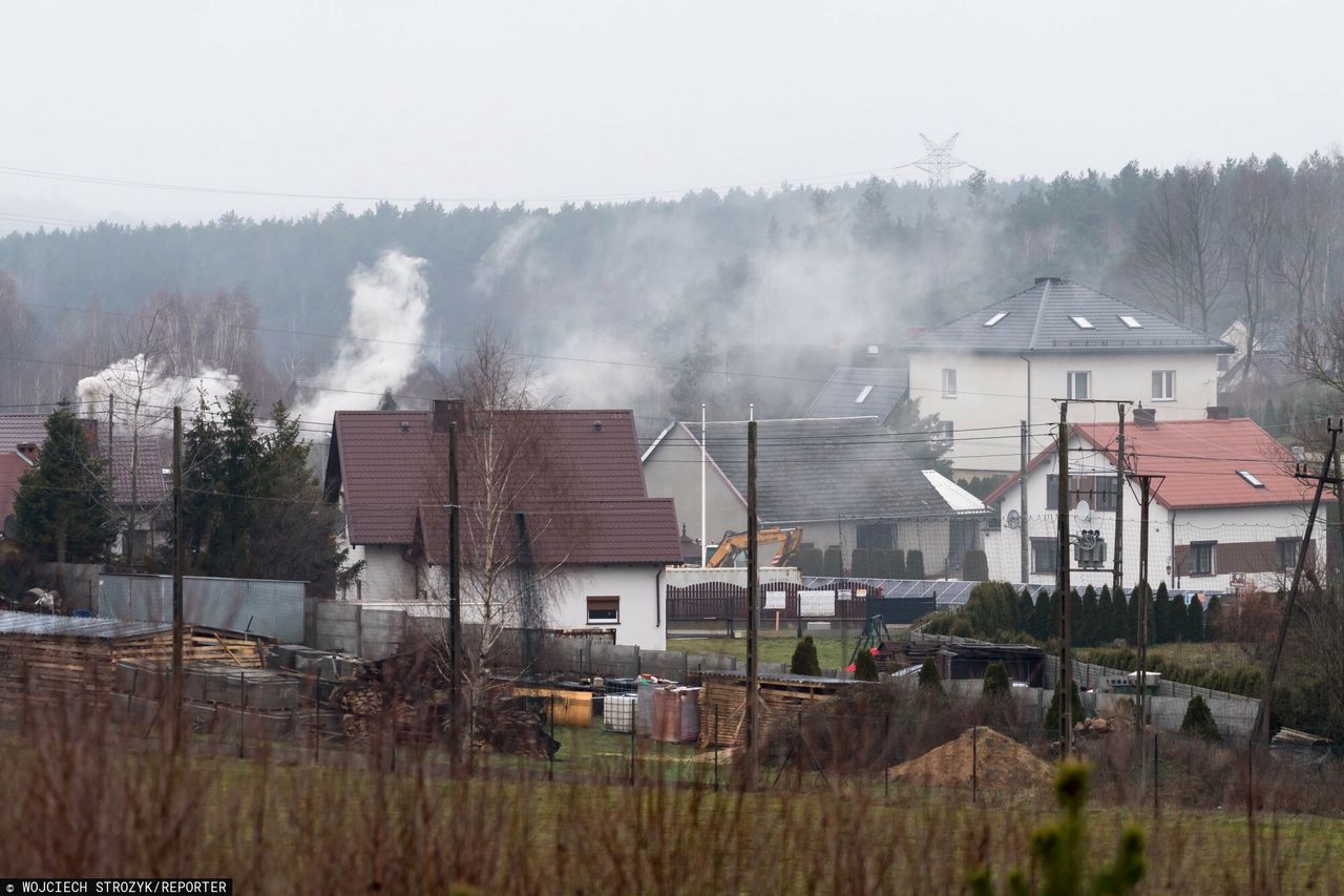 Odpady papierowe i drewniane gabarytowe są tymi, które Polacy palą w piecach najczęściej