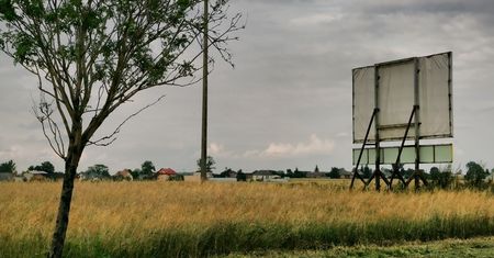 Lasy Państwowe postawią billboardy za miliony. To chwyt wyborczy?