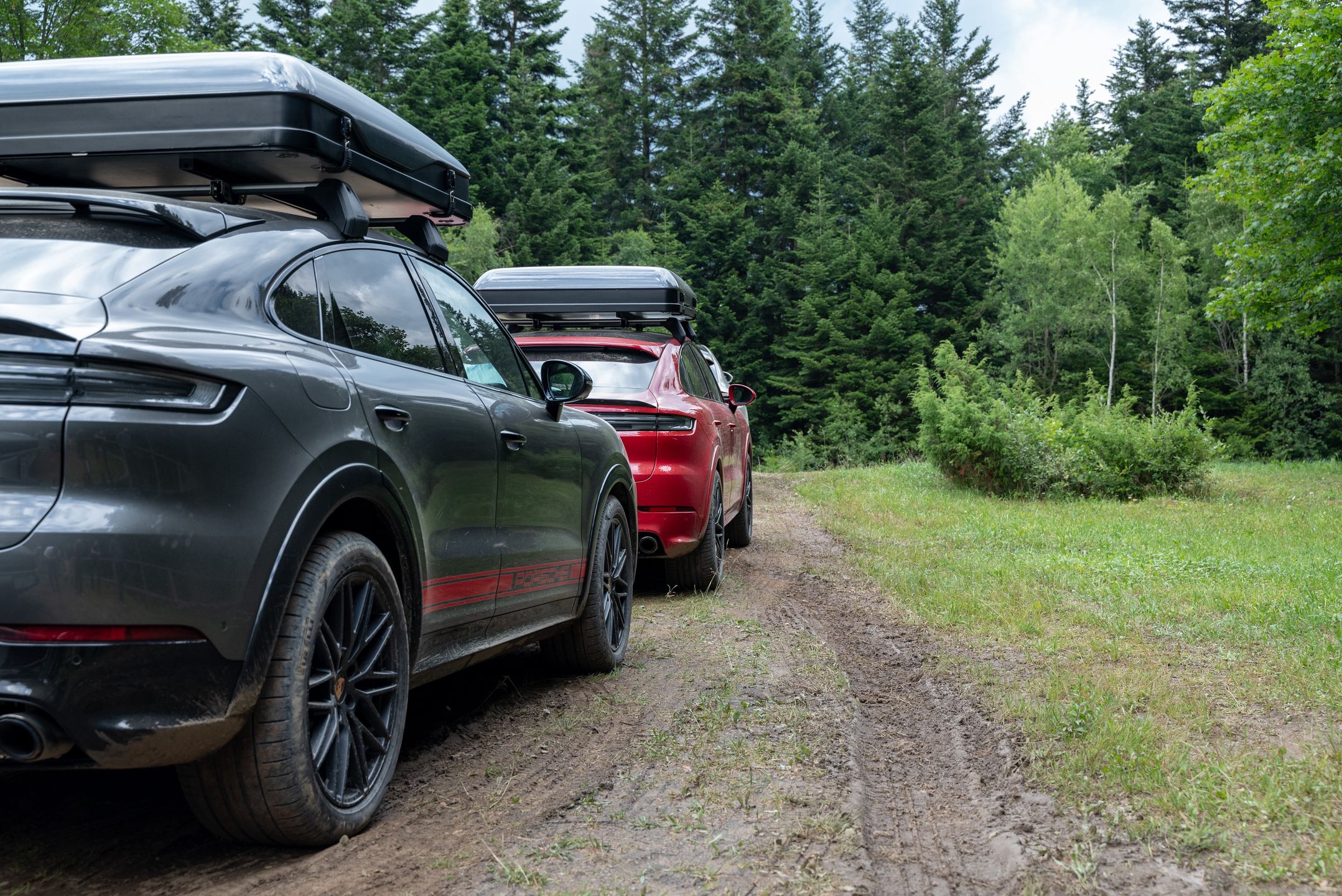Porsche Cayenne w Bieszczady