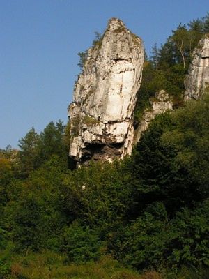 Obraz