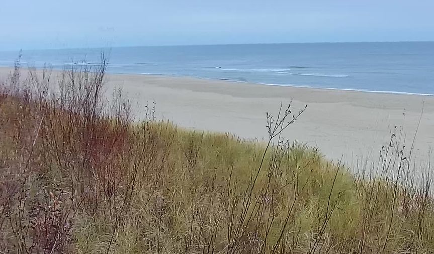 Pustki we Władysławowie