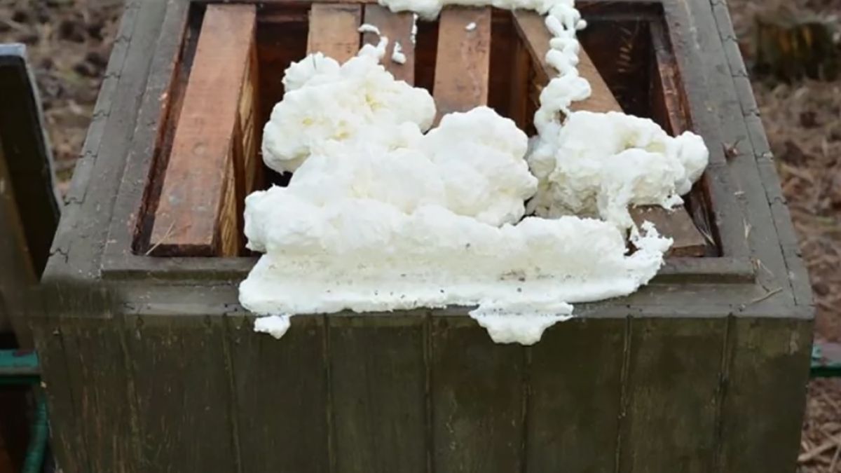 Sprawcy uszczelnili pasiekę pianką montażową