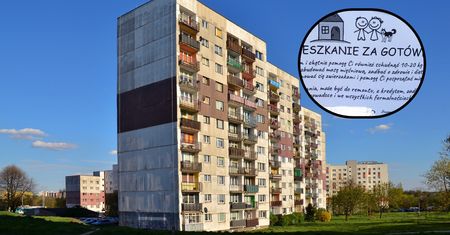 Agentka nieruchomości zdradza sekrety flipperów. "Zarobił 45 tys. zł w trzy tygodnie"