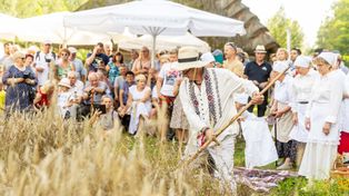 Żniwa w Skansenie. Atrakcje w Podlaskim Muzeum Kultury Ludowej przyciągnęły tłumy. Pokazali zwyczaje żniwne, była też zabawa przy muzyce