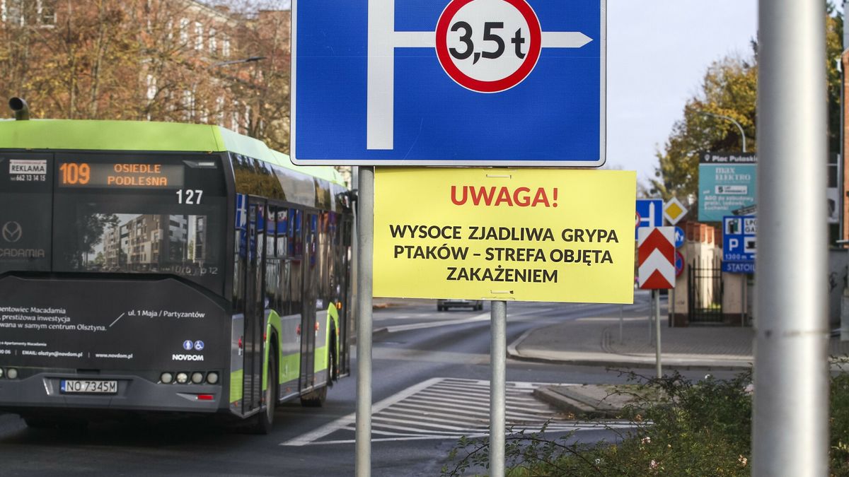 Ptasia grypa w Olsztynie
05.11.2024 Olsztyn Oznaczenie terenu zapowietrzonego i zagrozonego ptasia grypa u ptakow dzikich w polnocnej czesci miasta fot. Artur Szczepanski/REPORTER n/z napis na tablicy uwaga ! wysoce zjadliwa grypa ptakow - strefa objeta zakazeniem
Artur Szczepanski/REPORTER