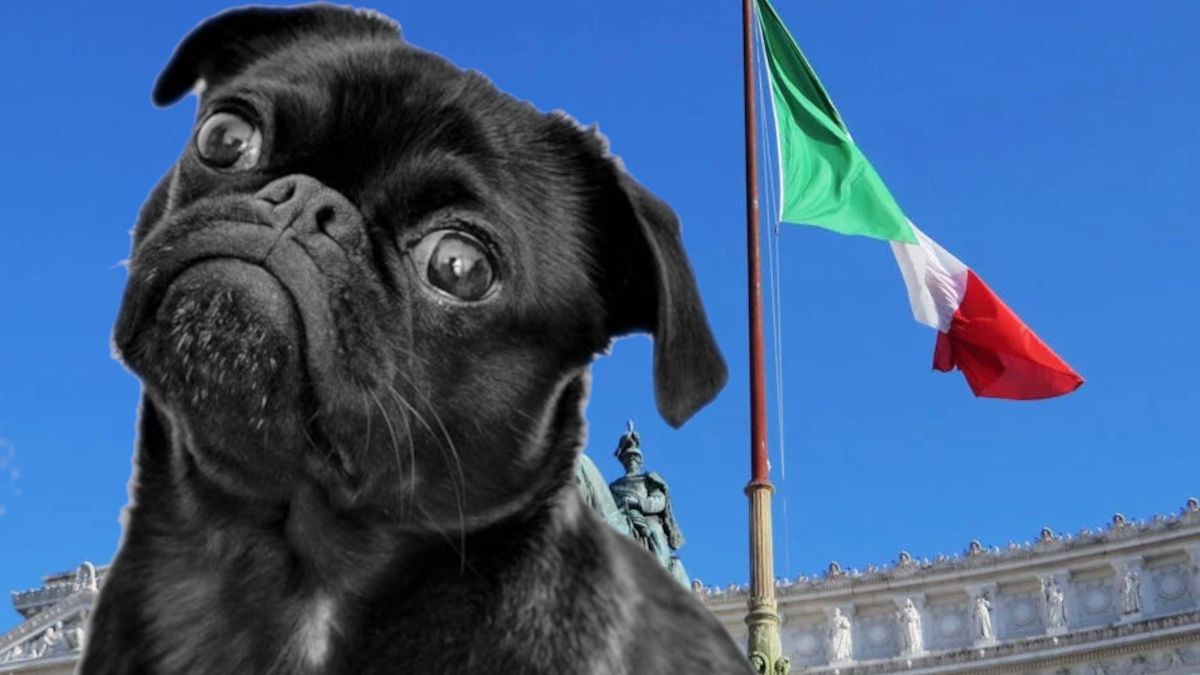 Zwierzęta będą towarzyszyć włoskim politykom w pracy.