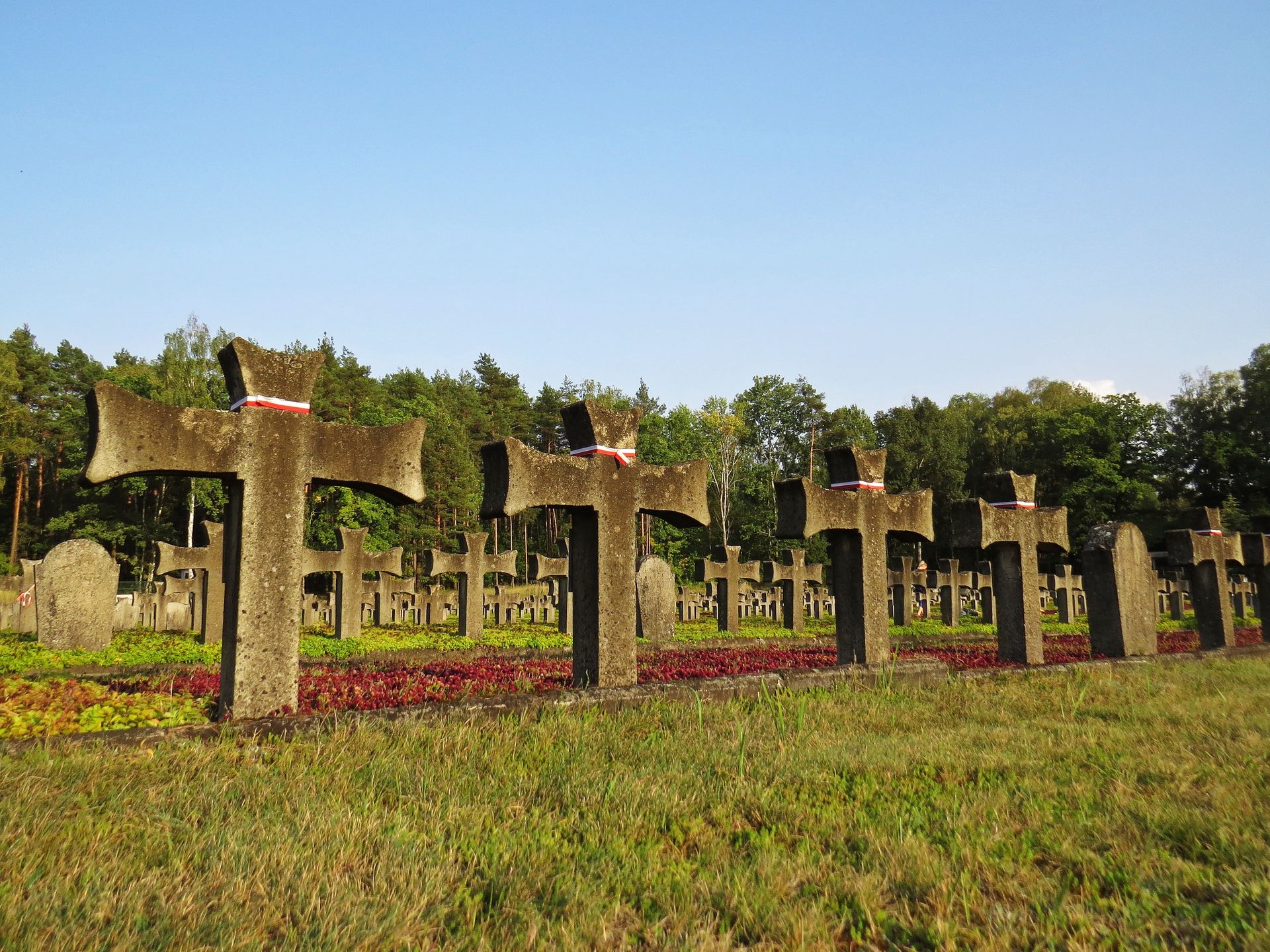 Palmiry, Puszcza Kampinoska