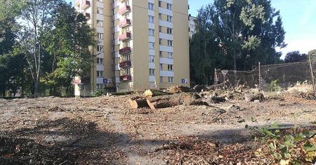 Wycinka drzew przy al. Racławickich. Powstanie tu budynek mieszkaniowy