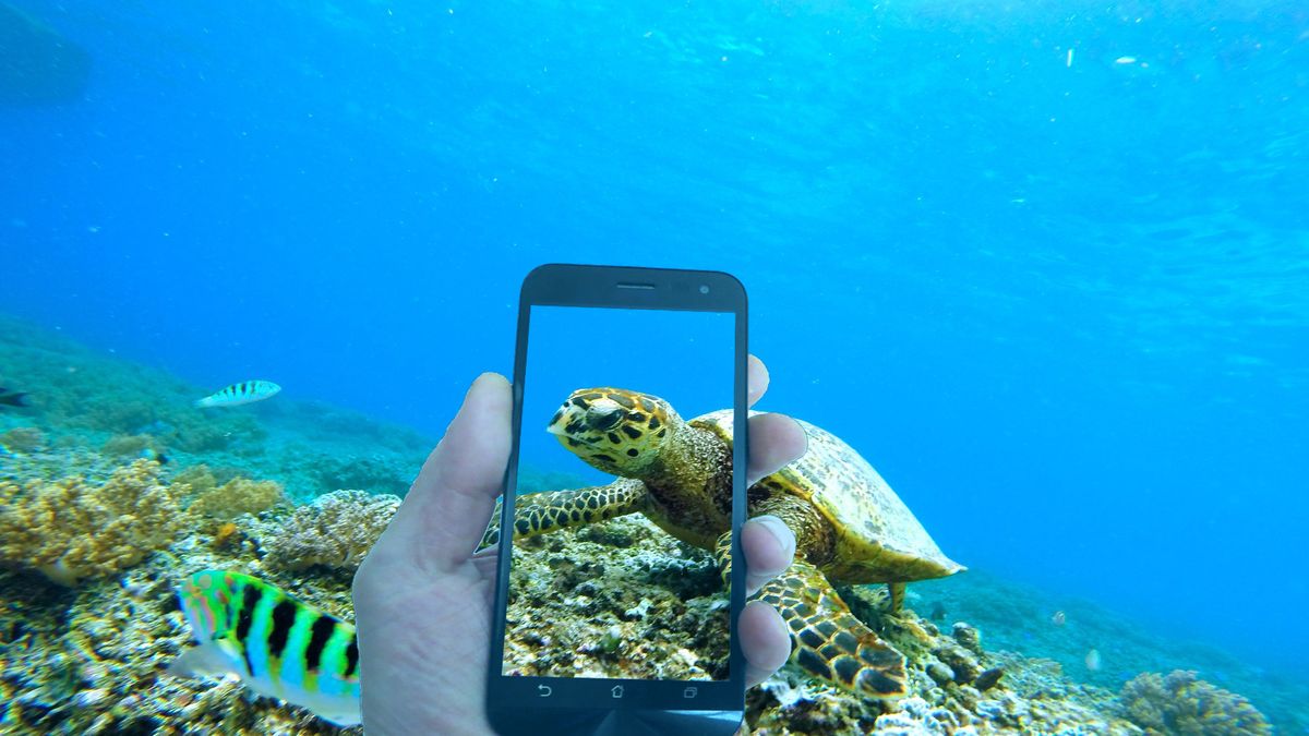 Być może masz wodoszczelny smartfon i nawet o tym nie wiesz 1