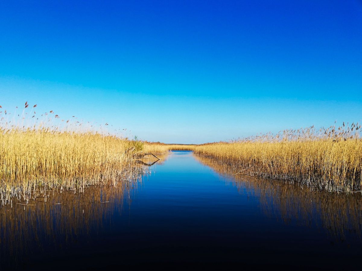 Decyzja prezydenta przesądzi o przyszłości Parku Narodowego Doliny Dolnej Odry. Na szali 10 mln zł dla regionu