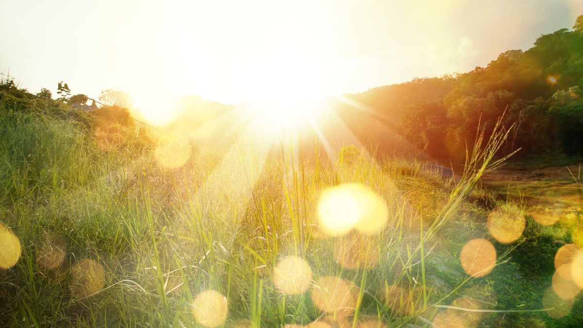 Meadow landscape refreshment with sunray and golden bokeh.Beautiful sunrise in the mountain.
abstract, background, bokeh, bright, cool attitude, country, countryside, day, dreamlike, environment, evening, field, flare, forest, glitter, golden, grass, green, growing, growth, hope concept, inspiration, landscape, light, meadow, morning, motivation, mountain, nature, peaceful, pennisetum, refreshment, rural, scenic, sky, spirituality, spring, summertime, sun, sunbeam, sunflare, sunlight, sunray, sunrise, sunset, sunshine, tree, tropical, weed, wild