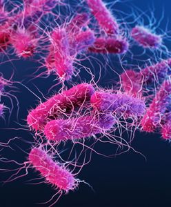 Uczniowie zatruli się bakteriami salmonelli. Sanepid prowadzi badania