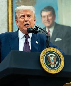 Wymiana terytoriów między Ukraina a Rosją? Trump ma omówić z Putinem