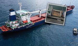 Rosja ma nowego nabywcę. Teraz ten kraj kupuje ukradzione zboże