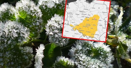 Alert IMGW dla 9 województw. Zła wiadomość dla ogrodników