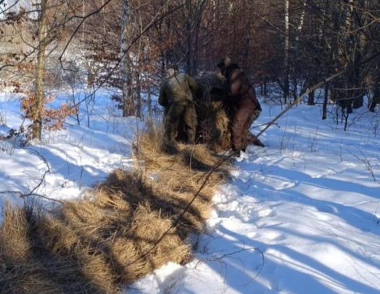 Straż leśna mówi, co robią ludzie zimą w lasach. Zdradzają ich ślady