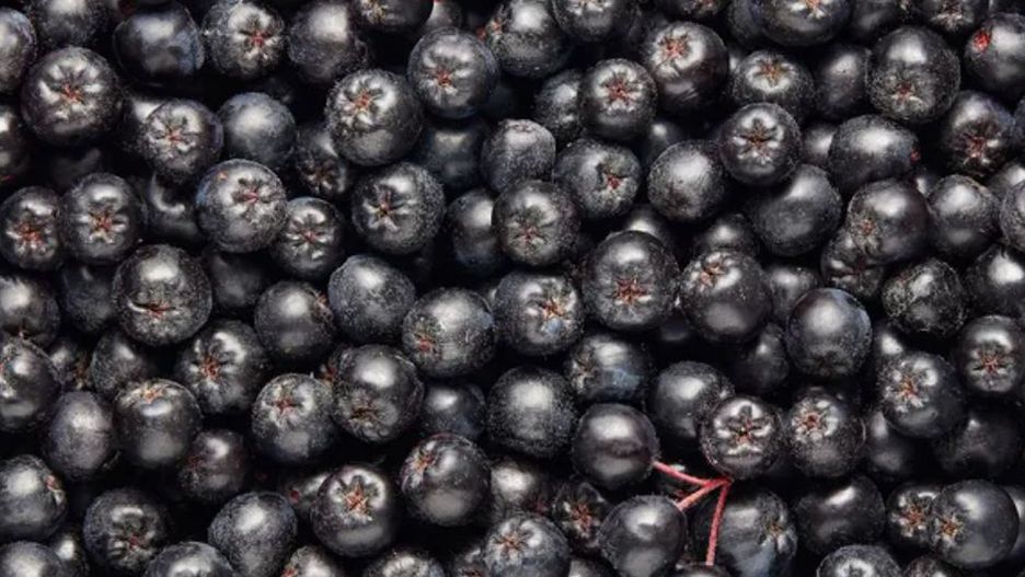 Jest jednym z najzdrowszych owoców. Korzystaj, wkrótce kończy się sezon