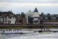 Darmowe studia na Harvardzie i Oxfordzie dla polskich studentów