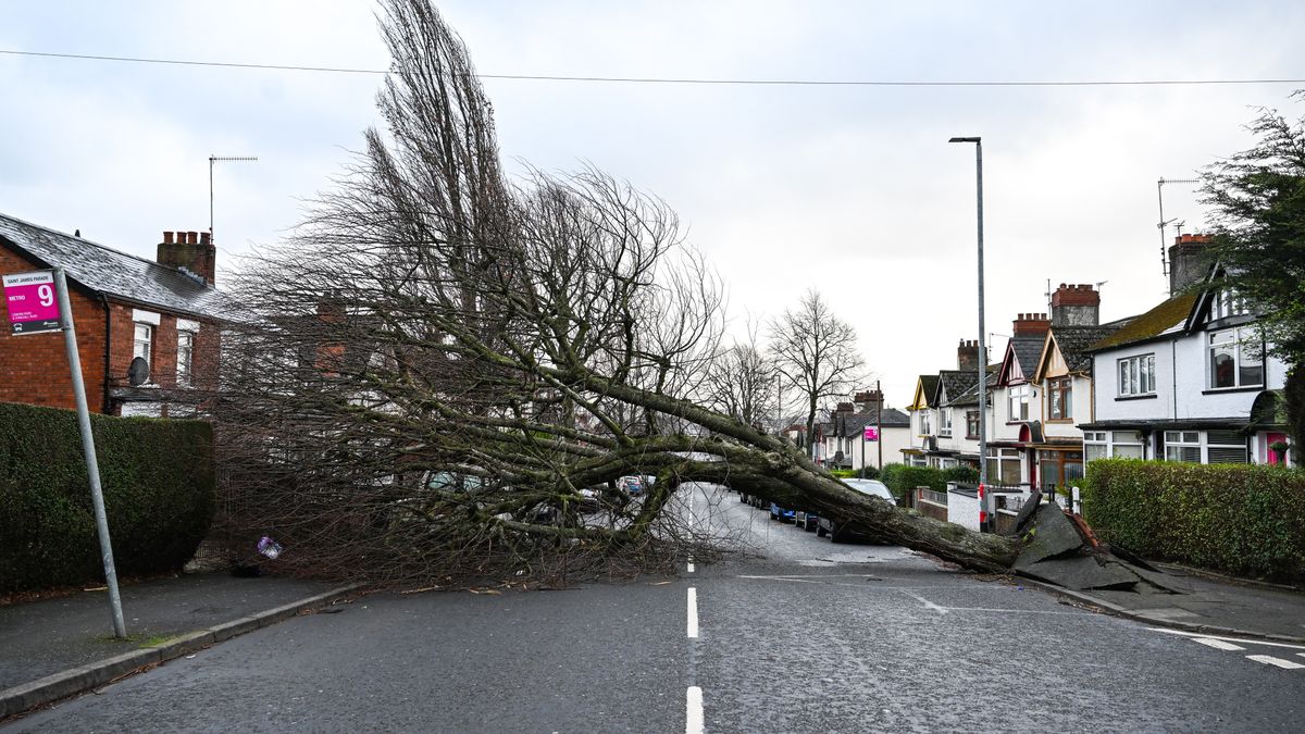  Orkan Eowyn sieje spustoszenie na Wyspach