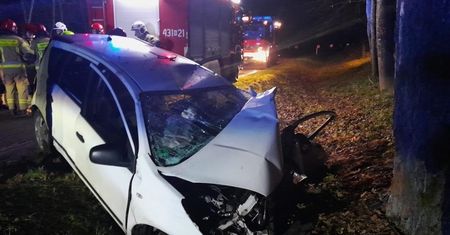 Kierowca uciekał przed strażą graniczną. Pięć osób trafiło do szpitala